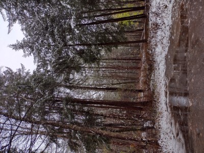 IMG_20221116_095543151_HDR.jpg