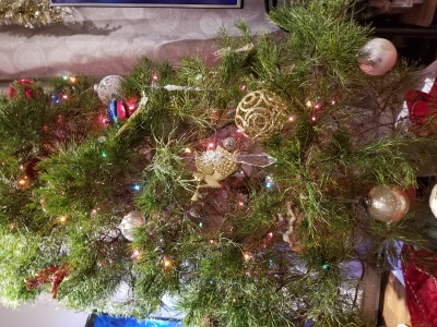 20221220_020341.jpg