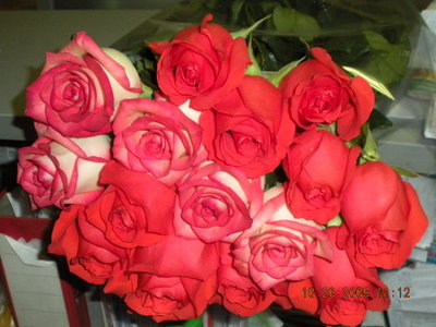 Rose 022.jpg