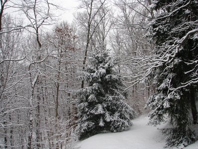 IMG_3568.JPG