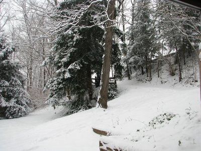 IMG_3566.JPG