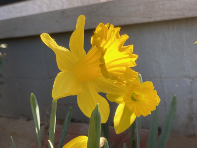 IMG_6176.png