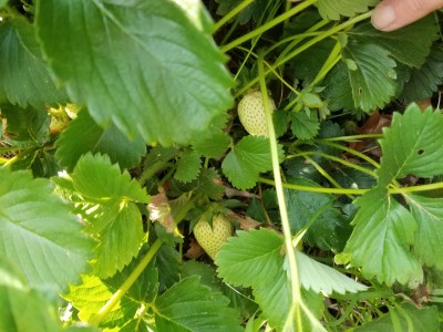 20230425_180512.jpg