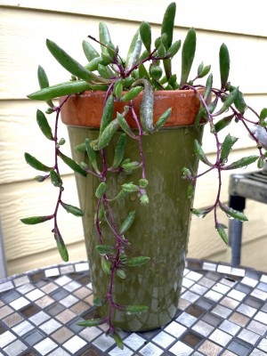 photo_2023-05-03_17-55-30 (4).jpg