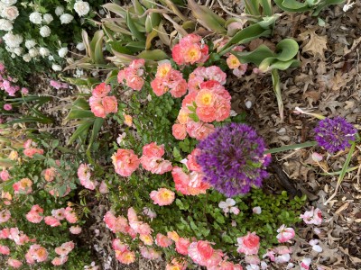 IMG_1708.jpeg