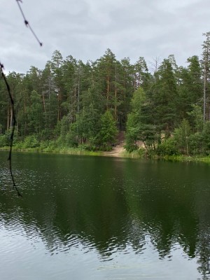 l1.jpg