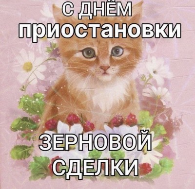 IMG_5670.jpeg