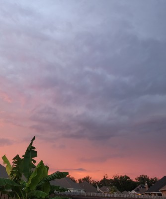 20230815_192951.jpg
