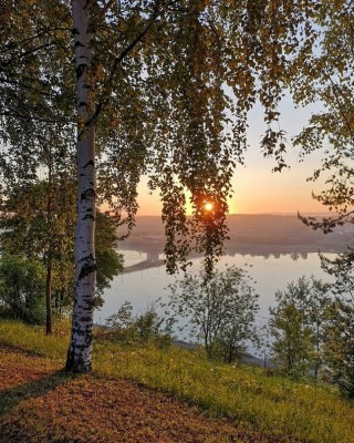 Берег Вятки.jpg