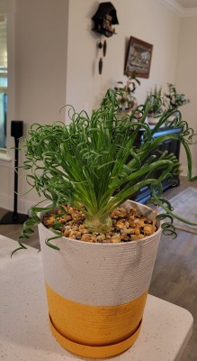 20231104_173414.jpg