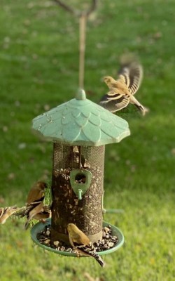IMG_1851.jpeg