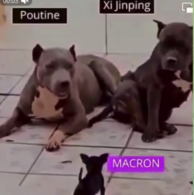 Screenshot 2024-03-11 081450.png