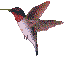 15850.gif