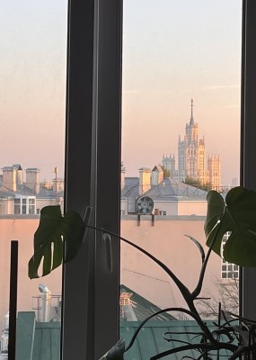 IMG_6341.jpeg
