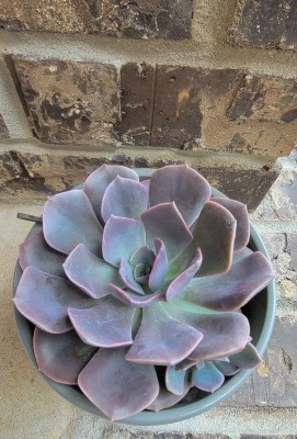 20240529_170437.jpg