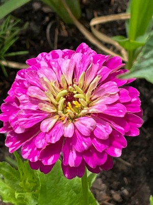U6.jpg