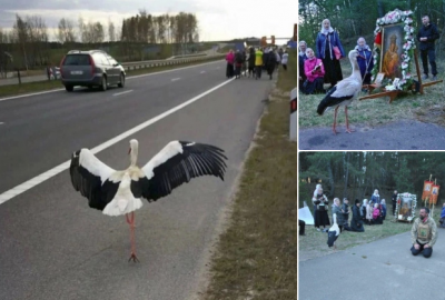 Screenshot 2024-06-05 071738.png