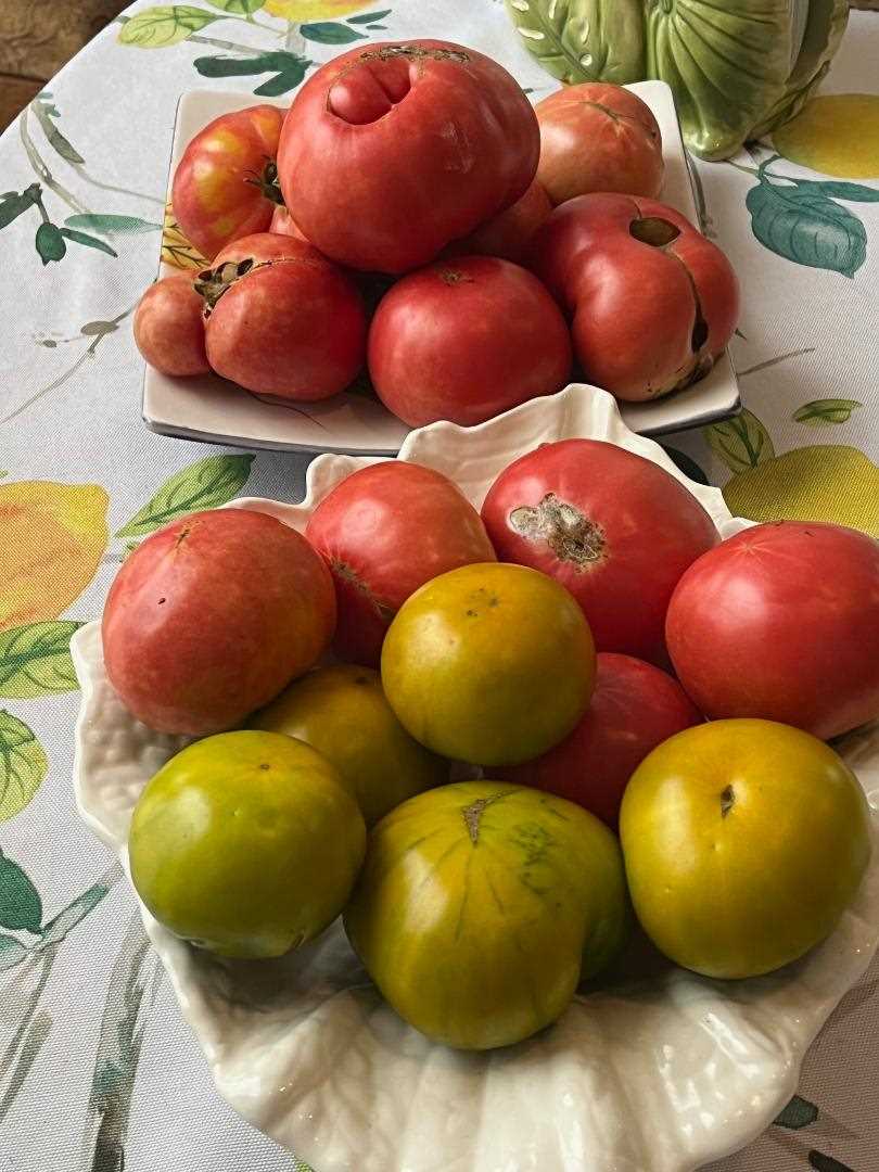 tomato.jpg