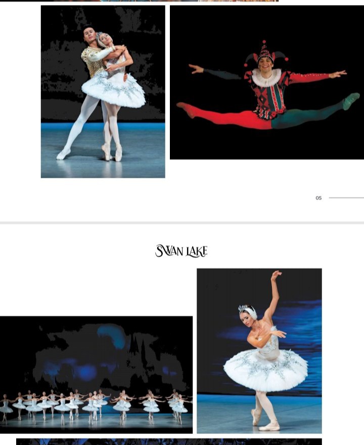 IMG-3ea4d7949d9ee197b7ec1a5e4a7481a0-V.jpg
