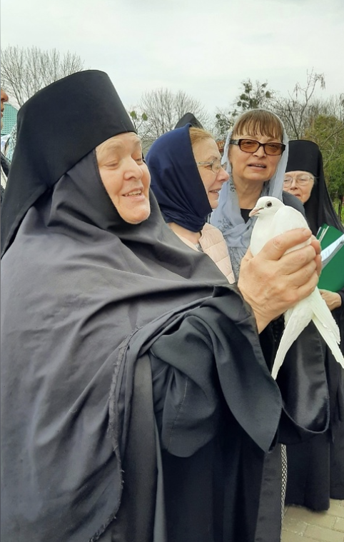 Screenshot 2024-07-31 074225.png