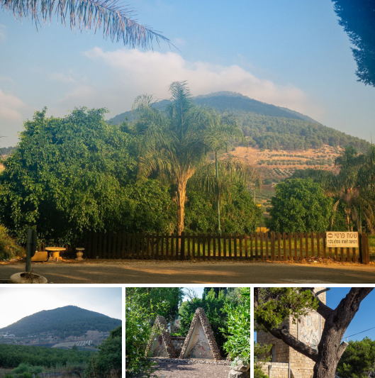 Screenshot 2024-08-19 074226.png