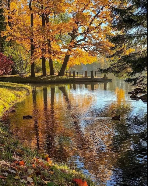 Screenshot 2024-09-22 070603.png