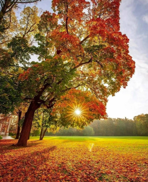 Screenshot 2024-09-22 070644.png