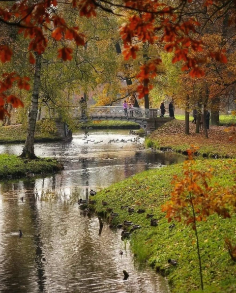 Screenshot 2024-09-22 070709.png