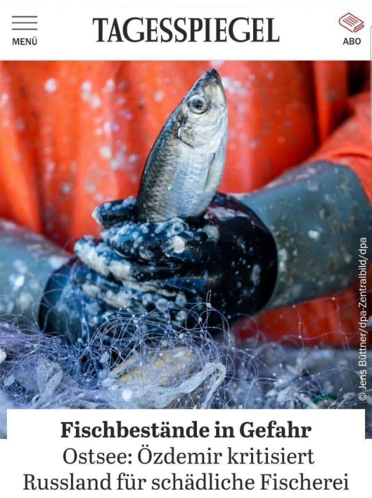 Screenshot 2024-11-01 073659.png