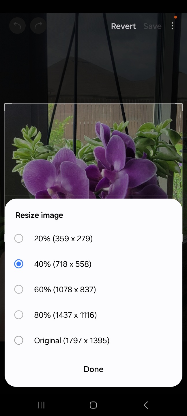 Screenshot_20241125_194308_Photo Editor.jpg