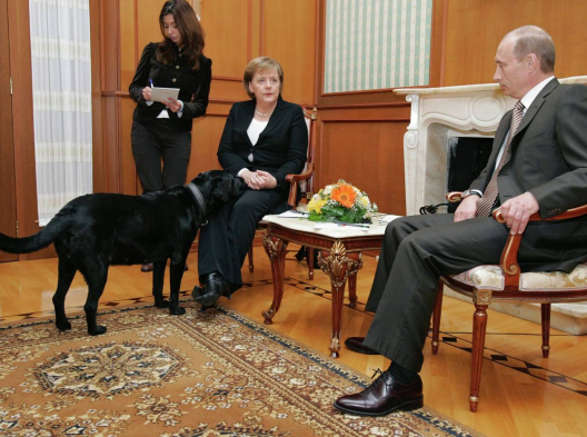 Screenshot 2024-11-28 173513.png