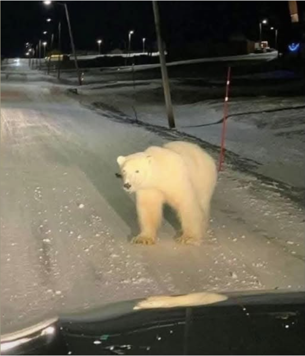 Screenshot 2025-01-22 092459.png