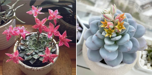 Screenshot 2025-01-31 085158.png