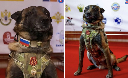 Screenshot 2025-02-05 071350.png