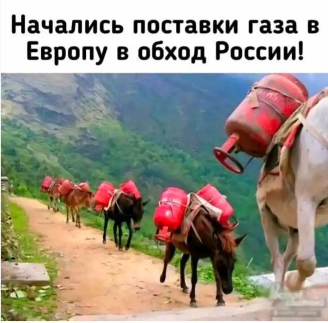 Screenshot_20250211_100054_Chrome.jpg
