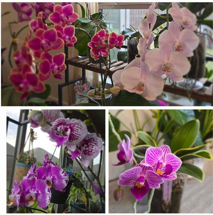 Screenshot 2025-02-18 171345.png