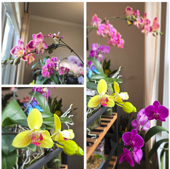 Screenshot 2025-02-18 171436.png