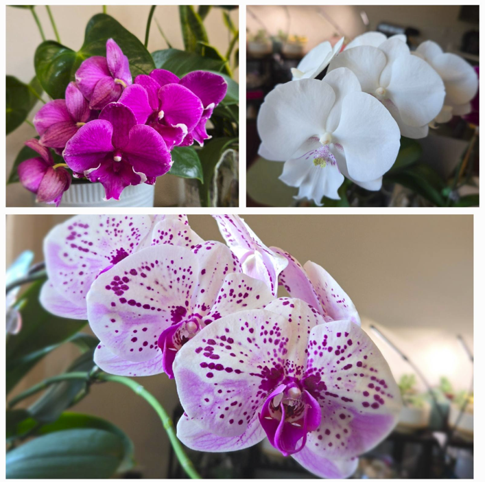 Screenshot 2025-02-18 171449.png