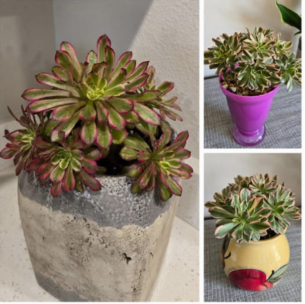 Screenshot 2025-03-11 193445.png