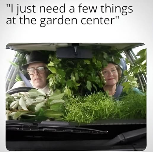 Screenshot 2025-03-17 131800.png
