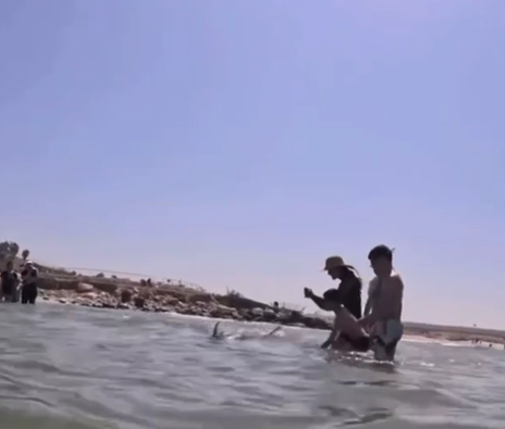 Screenshot 2025-04-21 084924.png