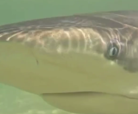 Screenshot 2025-04-21 084943.png