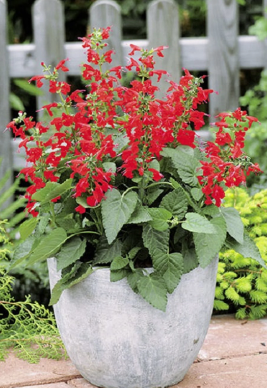 Screenshot 2025-05-08 130837.png