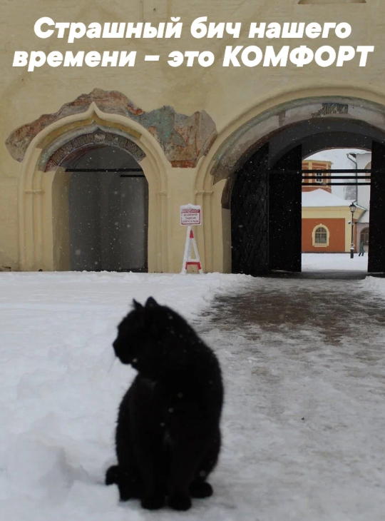 Screenshot 2025-05-16 073839.png