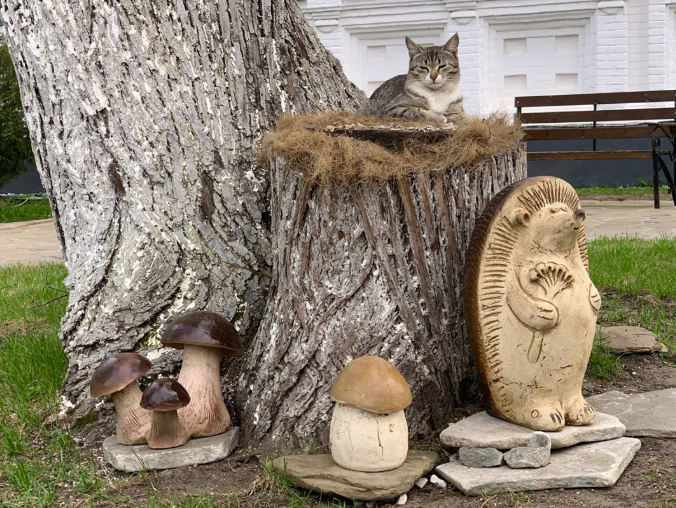 Screenshot 2025-05-21 150356.png