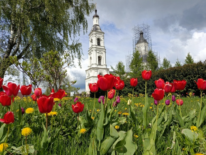 Screenshot 2025-07-07 073625.png