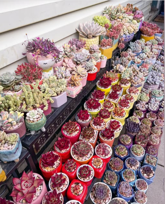 Screenshot 2025-06-29 072649.png