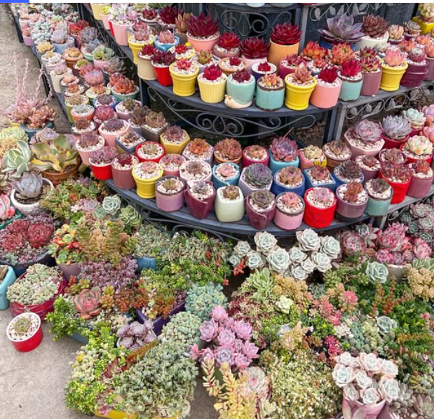 Screenshot 2025-07-06 213236.png