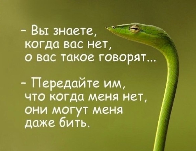 Screenshot 2025-10-09 081042.png