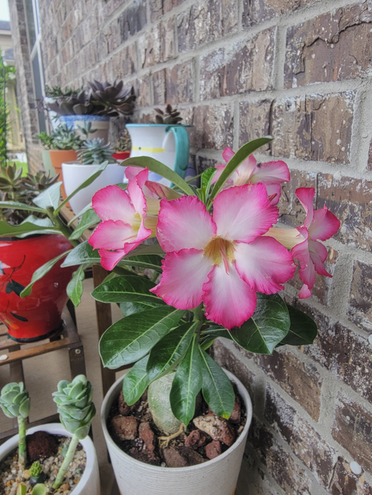 Screenshot 2025-10-23 212840.png